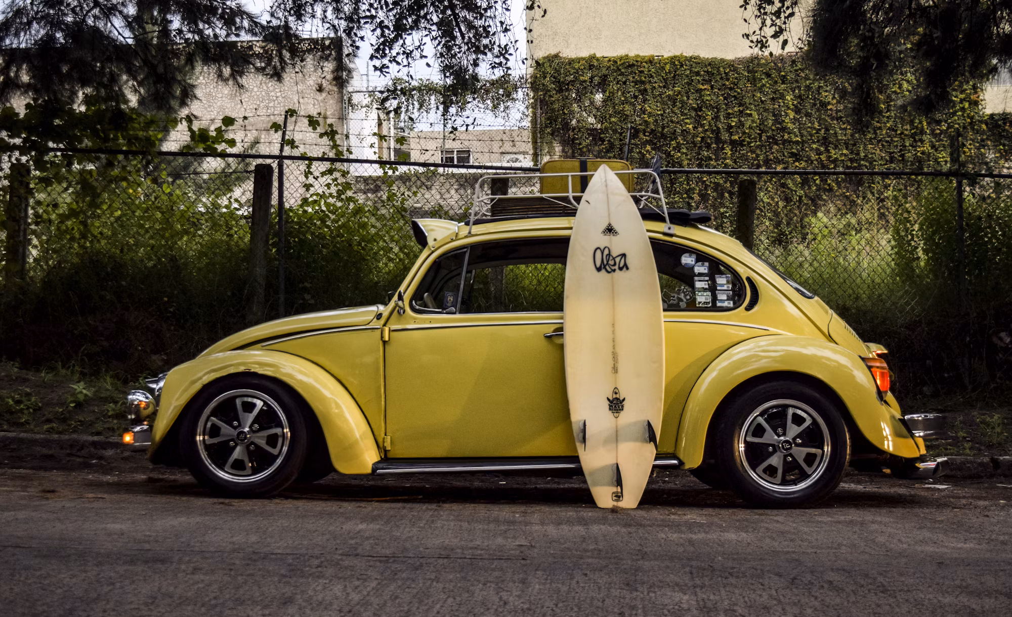 Exploring the Waves: The Fascinating World of Surfing Styles